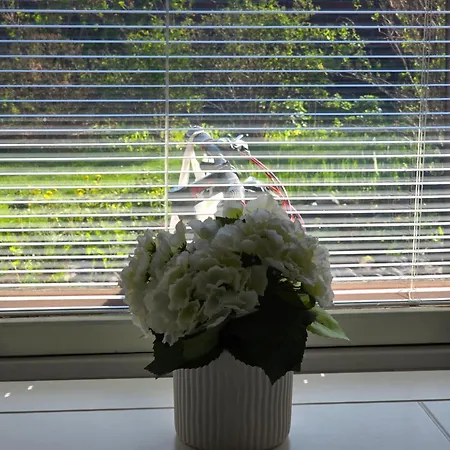 Apartment Anttoninvahe 7 130m2 With Garden And Sauna Etc